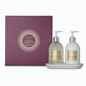 Champagne & Red Raspberries Hand & Body Wash & Cream Set 500ml Daily Utility Minimalist Reliability
