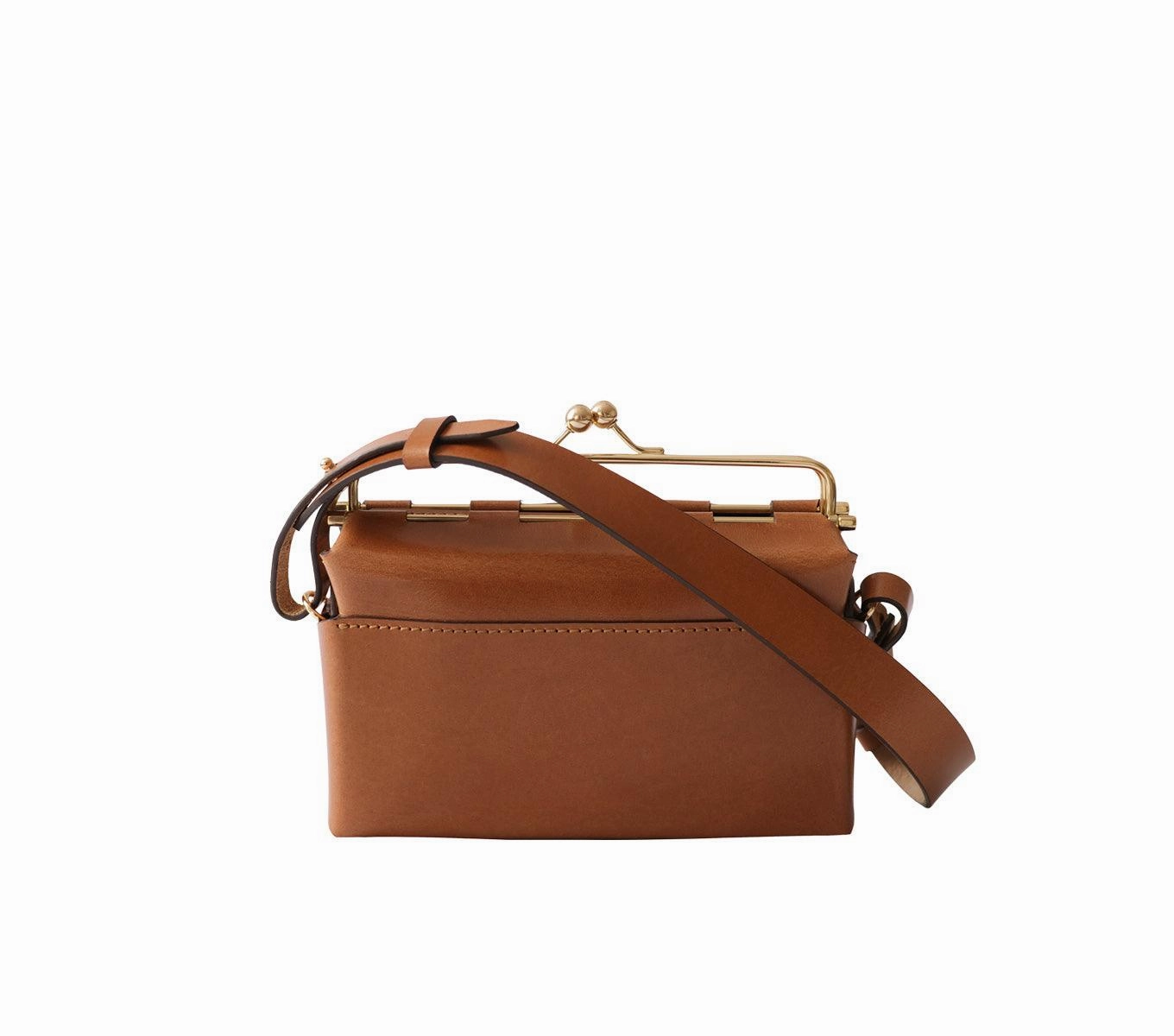 Stylish Journey KISSLOCK BAG